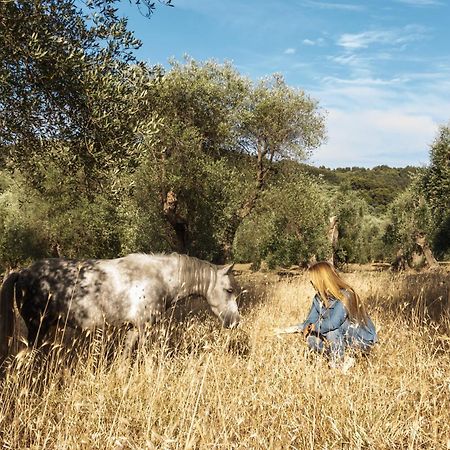 Casa Masseria Le Ville Peschici Dış mekan fotoğraf